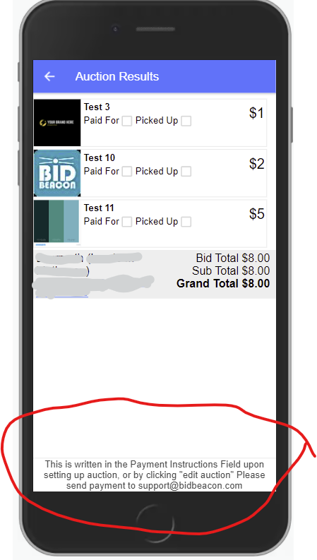 Showing Payment Instructions on Screen